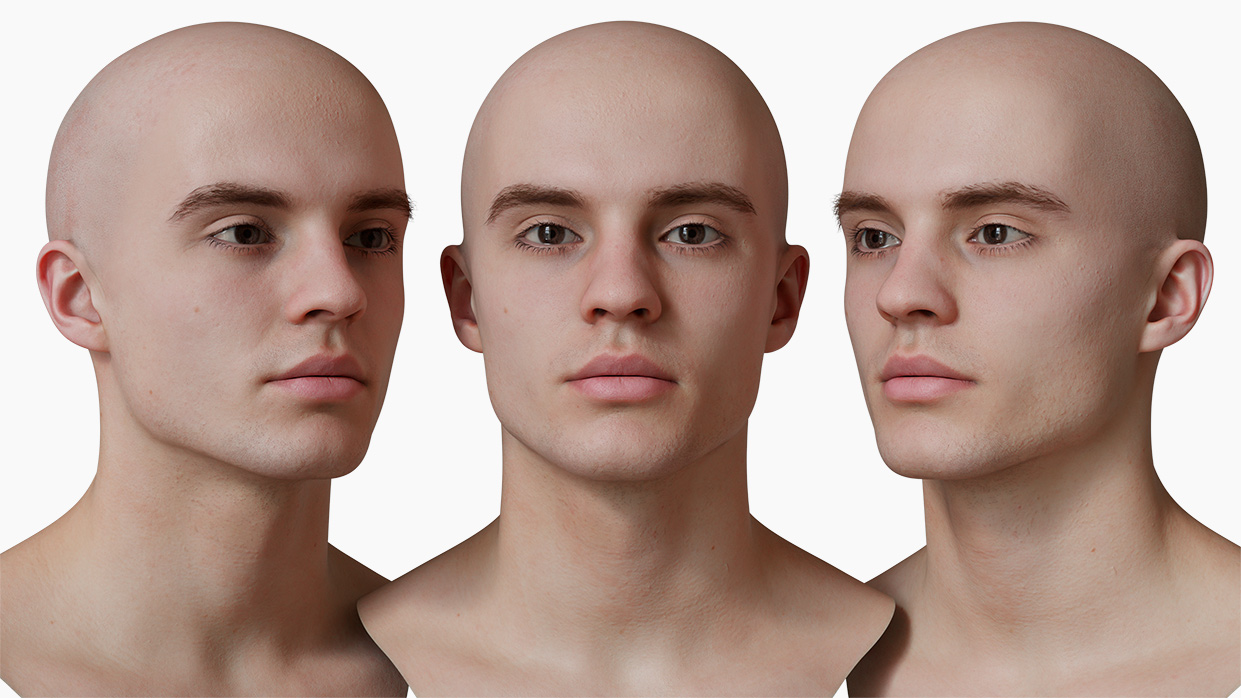 Male 3d head scan download